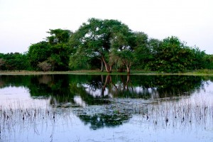 parque-nacional-orango-1