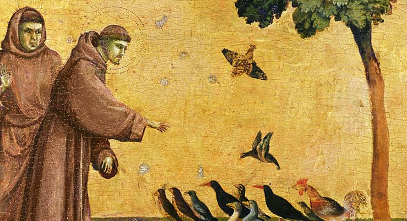 Todos irmãos na ecologia integral e espiritualidade franciscana