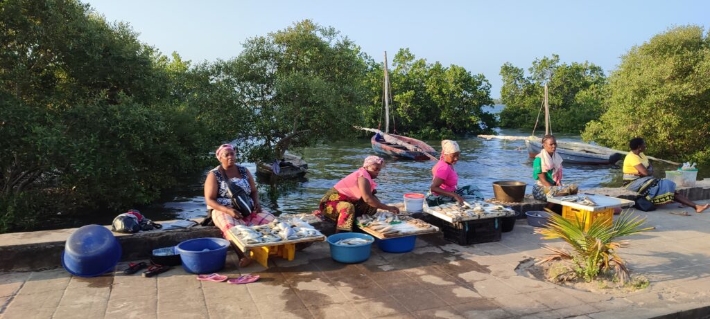 IV – NA TERRA DA BOA GENTE – INHAMBANE (Parte 2)