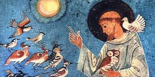 CUIDARMOS DA CASA COMUM